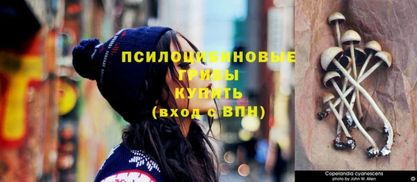 тгк Балабаново
